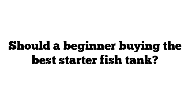 Should a beginner buying the best starter fish tank?
